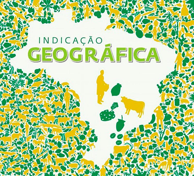 Globo Rural: palmito Pupunha e apoio da CATI no Vale do Ribeira é tema de  reportagem neste domingo