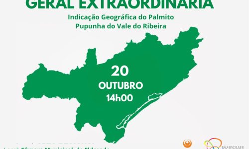 Globo Rural: palmito Pupunha e apoio da CATI no Vale do Ribeira é tema de  reportagem neste domingo